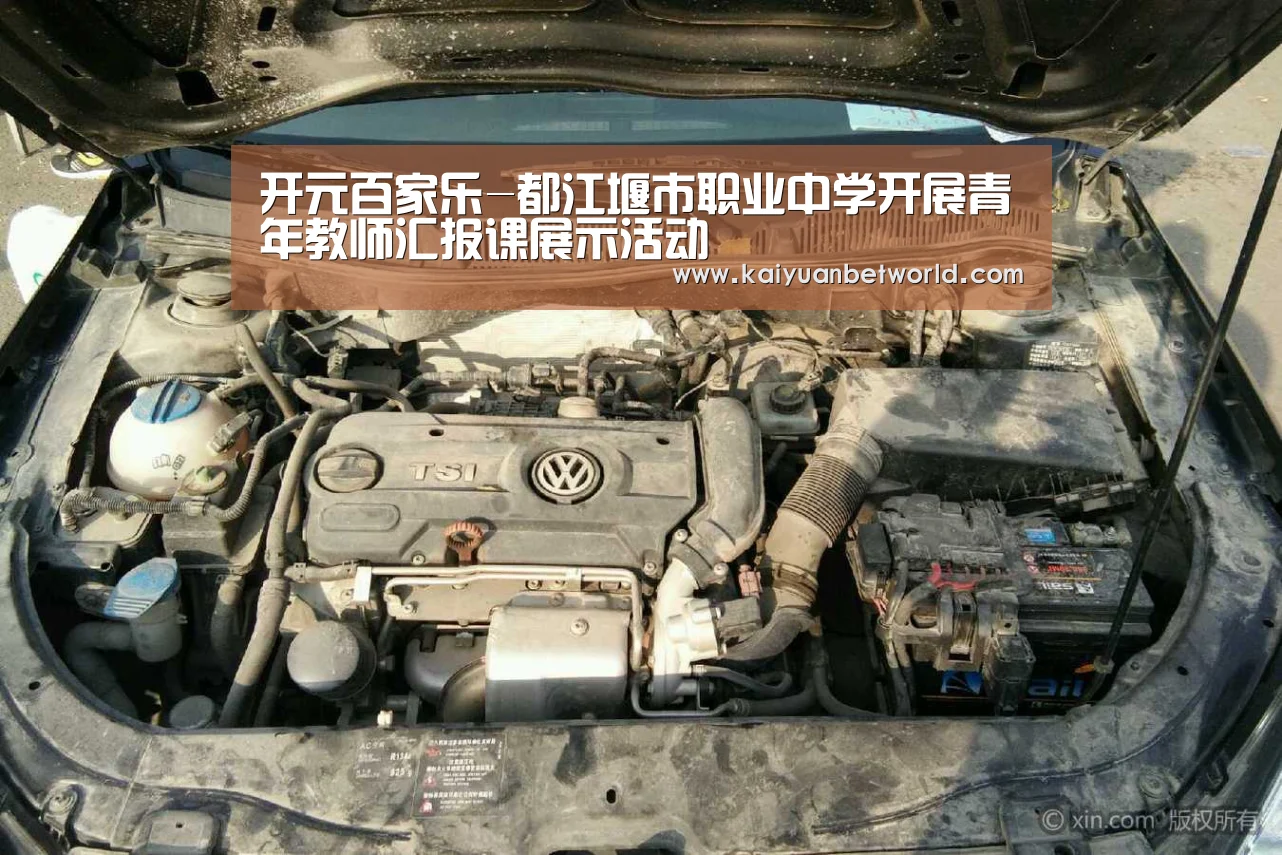 开元百家乐