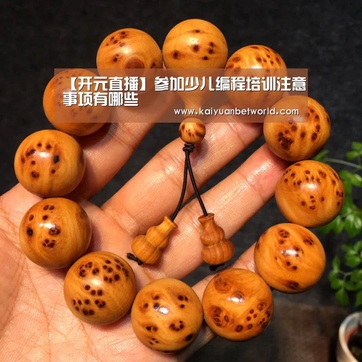 【开元直播】参加少儿编程培训注意事项有哪些(图2) 开元百家乐